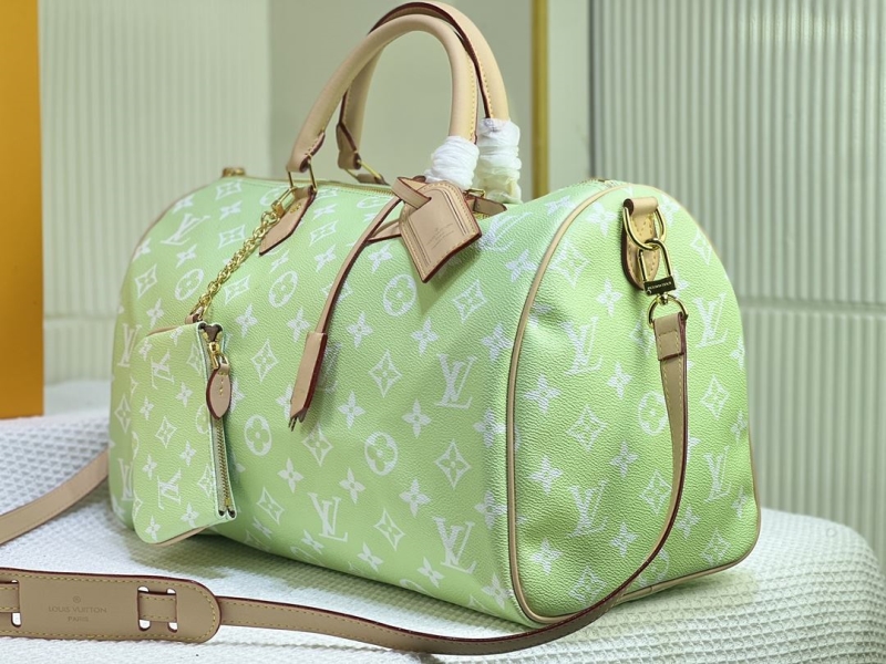 LV Travel Bags